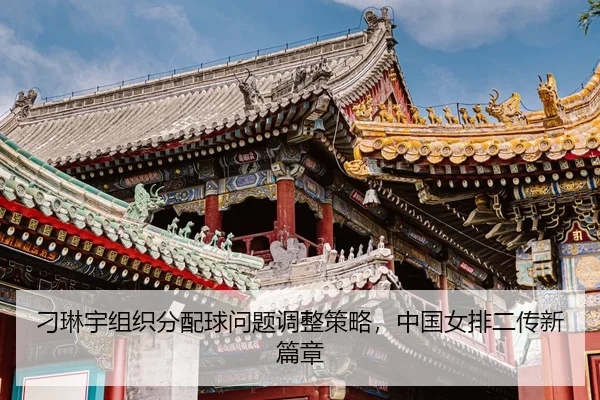diao-lin-yu-zu-zhi-fen-pei-qiu-wen-ti-tiao-zheng-ce-lve-zhong-guo-nv-pai-er-chuan-xin-pian-zhang-3-151.jpg