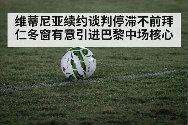 soccer ball on grass